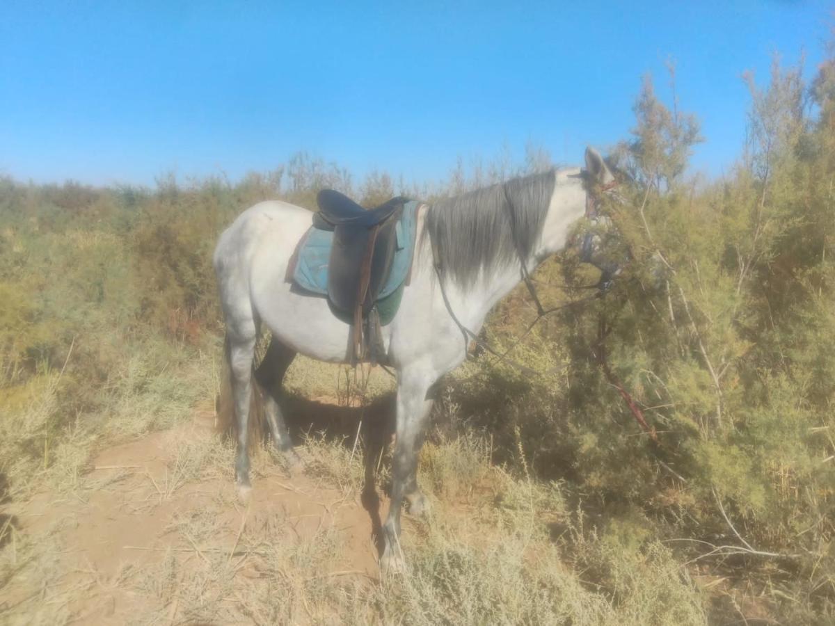 Dar Alfourssane Ferme D'Hote Varzazat Dış mekan fotoğraf