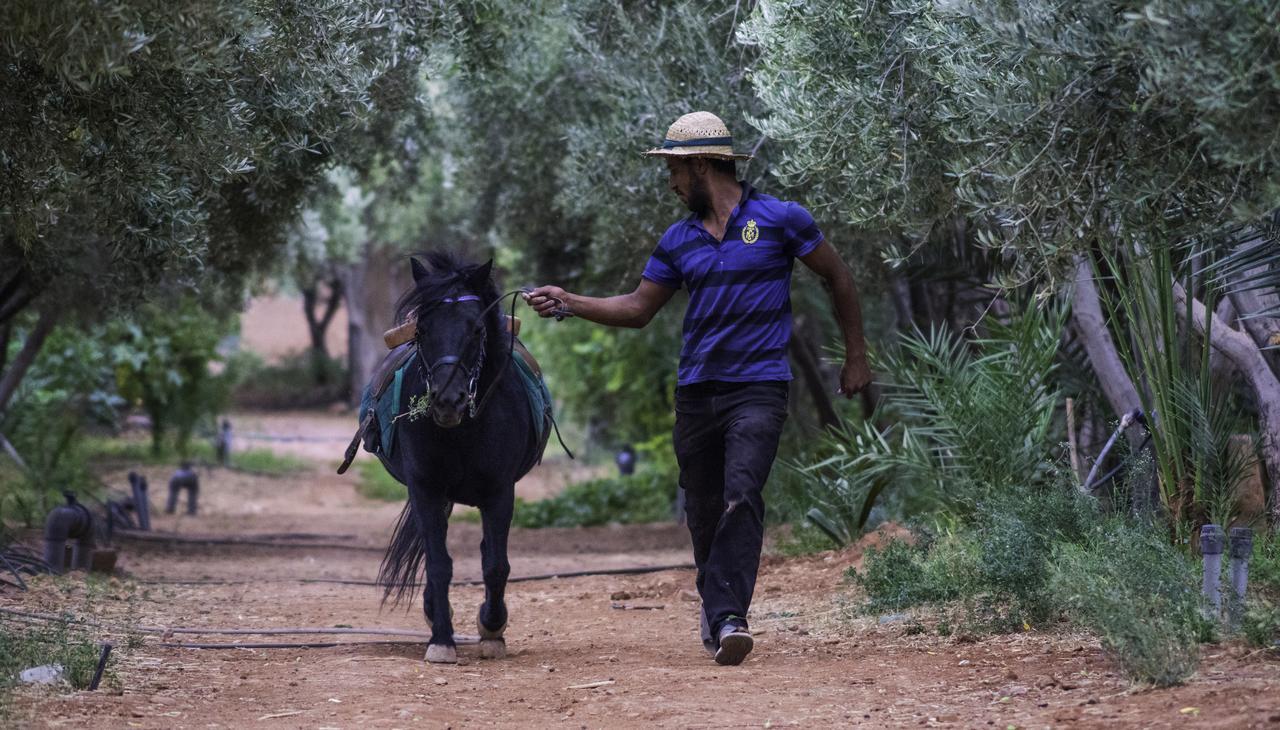 Dar Alfourssane Ferme D'Hote Varzazat Dış mekan fotoğraf