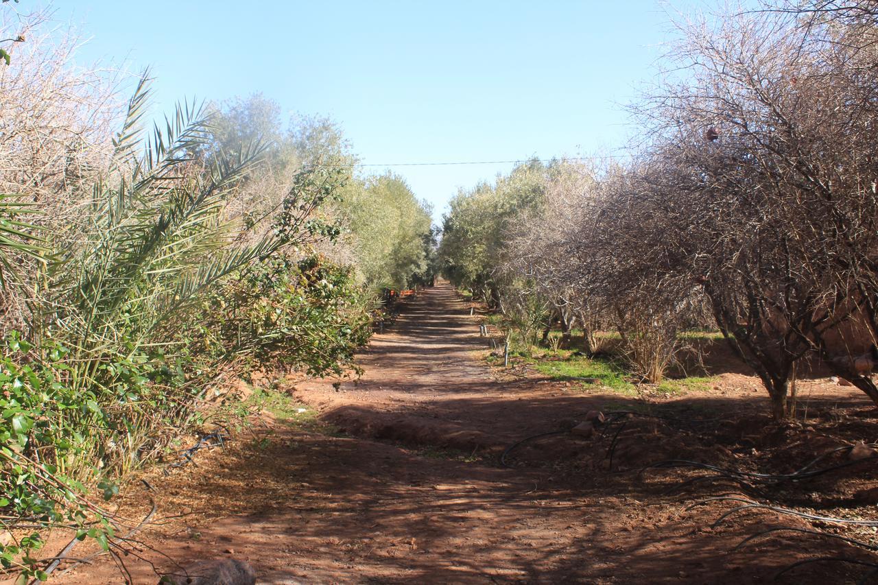 Dar Alfourssane Ferme D'Hote Varzazat Dış mekan fotoğraf